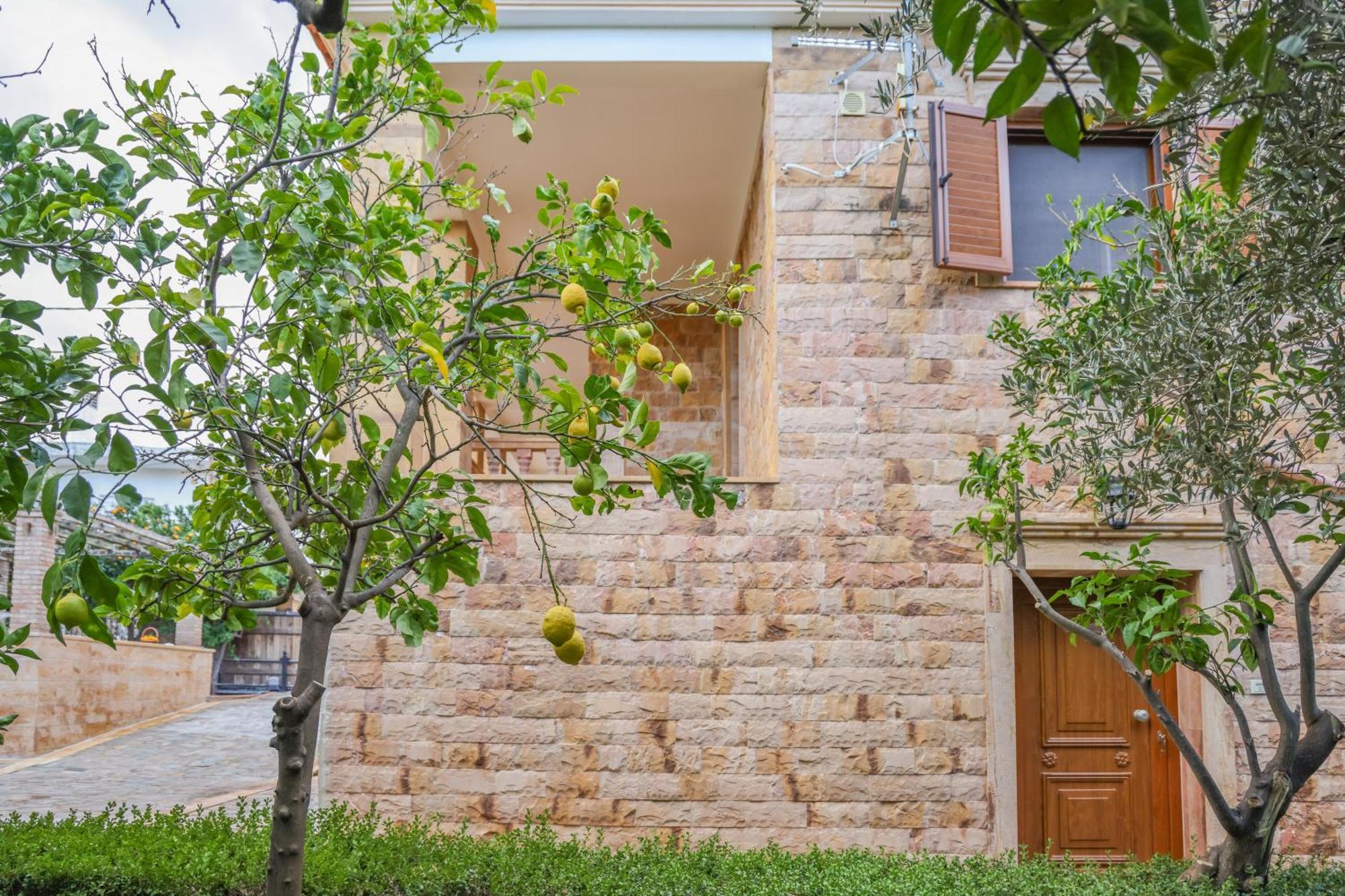 Archontiko Frideriki Luxury Apartments Хиос Екстериор снимка